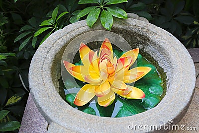 Golden lotus flower Stock Photo