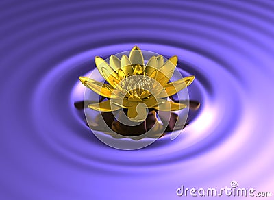 Golden lotus water lily on lake Stock Photo