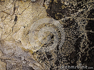 Golden luminescent microbes in the Lava Beds National Monument caves of the northern Sierra Nevadas Stock Photo