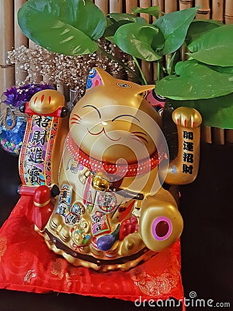 Golden Maneki-neko in oriental style decoration. Close up of lucky cat in business. Fortune cat waving with both paws to protect Stock Photo