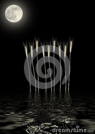 Golden Moon and Grass Abstract Stock Photo