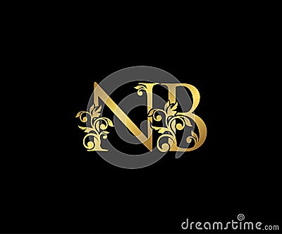 Golden NB, N and B Luxury Logo Icon, Vintage Gold Initials Mark Design. Elegant luxury gold color on black background Vector Illustration