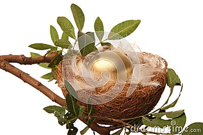 Golden Nest Egg Stock Photo