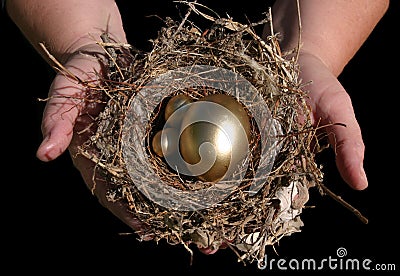 Golden Nest Eggs In Hand Stock Photo