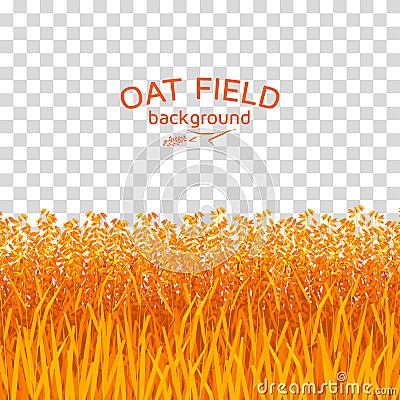 Golden oat field on checkered background Vector Illustration