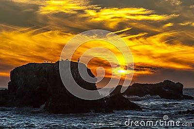 Golden Orange Sunset With Birds Stock Photo