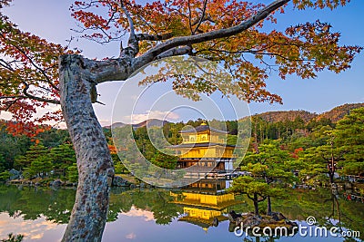 The Golden Pavilion of Kinkaku-ji temple in Kyoto, Japan Stock Photo