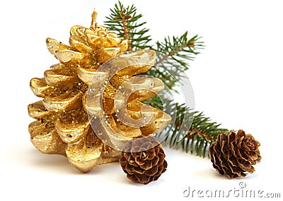 Golden pine cone and branch of Christmas tree Stock Photo