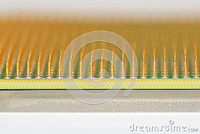 Golden pins of a core. Central processor unit. Shallow depth of field Stock Photo