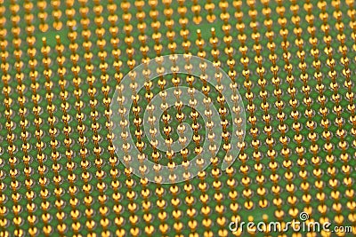 Golden pins of a core. Central processor unit. Shallow depth of field Stock Photo