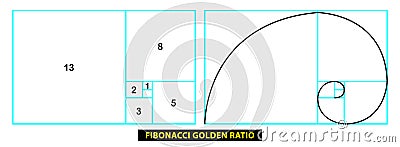 golden ratio divine proportions golden fibonacci numbers. ratio geometry harmony gold Vector Illustration