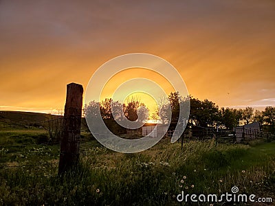 Golden Rays in skys of gray Stock Photo