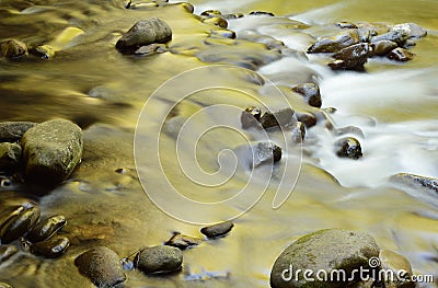 Golden Reflections Little River Stock Photo