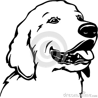 Golden Retriever Vector Illustration