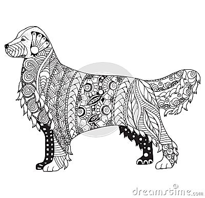 Golden retriever dog zentangle stylized, vector, illustration, f Vector Illustration