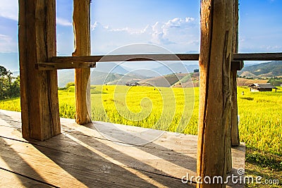 Golden rice fields in the Central Valley Stock Photo