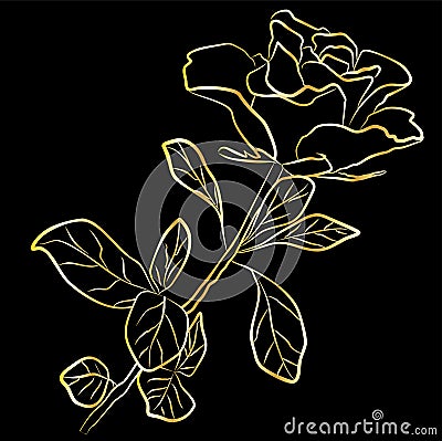 Golden rose on a black background Vector Illustration