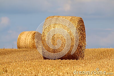 Round straw bales in a field Stock Photo
