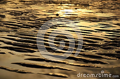 Golden sand dune beach Stock Photo