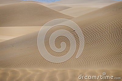 Golden Sand Dunes Wind Pattern Stock Photo