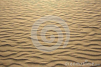 Only golden sand with texture Stock Photo