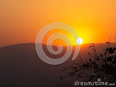 Golden Senset Sky Peaceful Colorful with Shadow Tree Leaves Stock Photo
