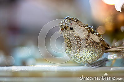 Golden shiny decorative christmas bird .Shallow depth of field Stock Photo