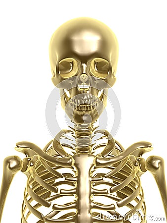 Golden skeleton Stock Photo