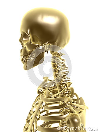 Golden skeleton Stock Photo