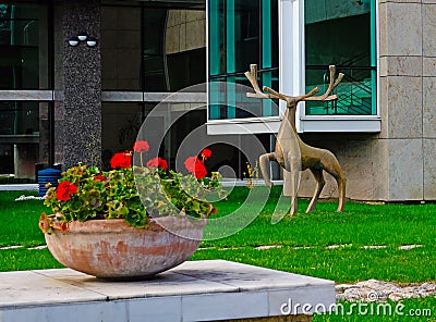 The Golden Stag statue, Brasov, Romania Editorial Stock Photo