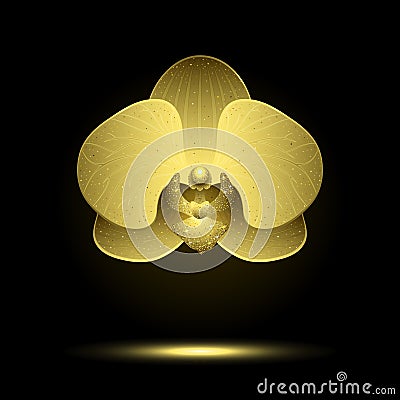 Golden Stylized Orchid Vector Illustration