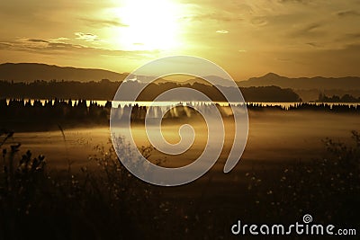 Golden sunrise Stock Photo