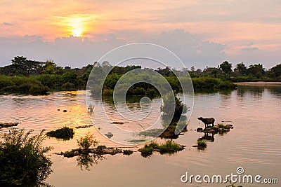 Golden sunset on Don Det Stock Photo