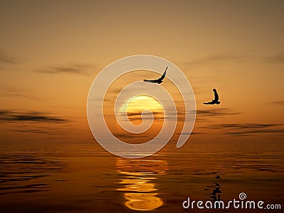 Golden Sunset with Eagles Stock Photo