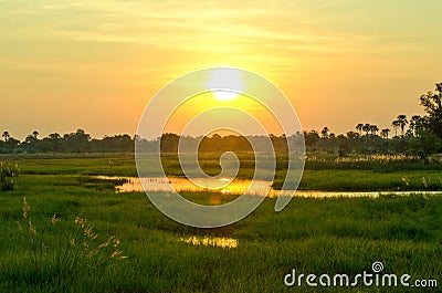 A Golden Sunset over the Okavango Delta in Botswana. Stock Photo