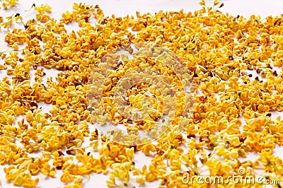 The golden sweet osmanthus petals Stock Photo