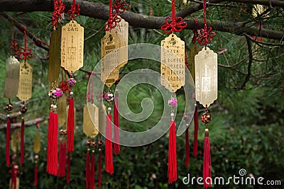 Golden Taoist prayer charms hanging from a tree Stock Photo