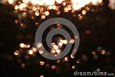 Golden twinkle. Stock Photo