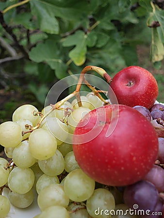 Golden and violet grapes with two apples Stock Photo