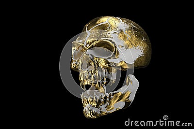 Golden white skull isolated on black background. The demonic skull of a vampire. Scary skilleton face for Halloween Stock Photo