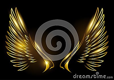 Golden wings on black background Vector Illustration