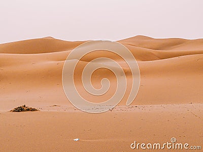 Golden Xinjiang Desert from China Stock Photo