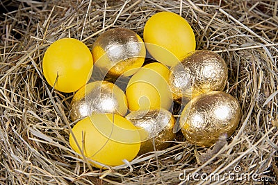 Golden and yellow eggs in a nest top view. Concept easter Stock Photo