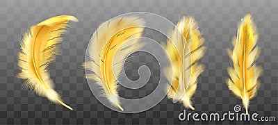 Golden yellow fluffy feather vector realistic Vector Illustration