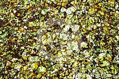 Golden yellow glass textured texture of background Stock Photo