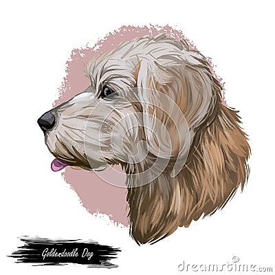 Goldendoodle dog digital art illustration isolated on white Cartoon Illustration