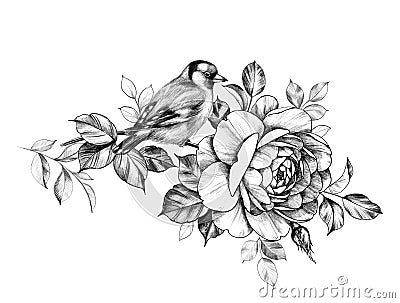 Goldfinch Sitting on Rose Branch Stock Photo