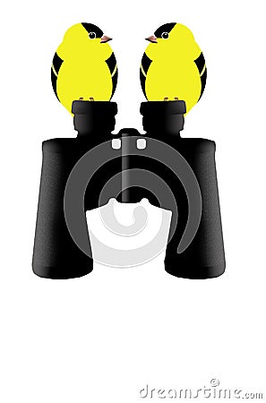 Goldfinches sit on a pair of birdwatching binoculars in illustration about the hobby of bird watching Cartoon Illustration