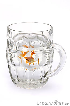 Goldfish in a glass beer tankard Stock Photo