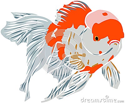 Goldfish Vector Illustration